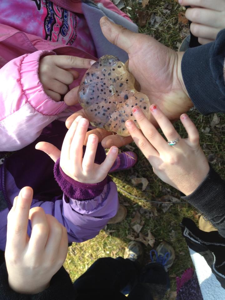 kids with salamander eggs