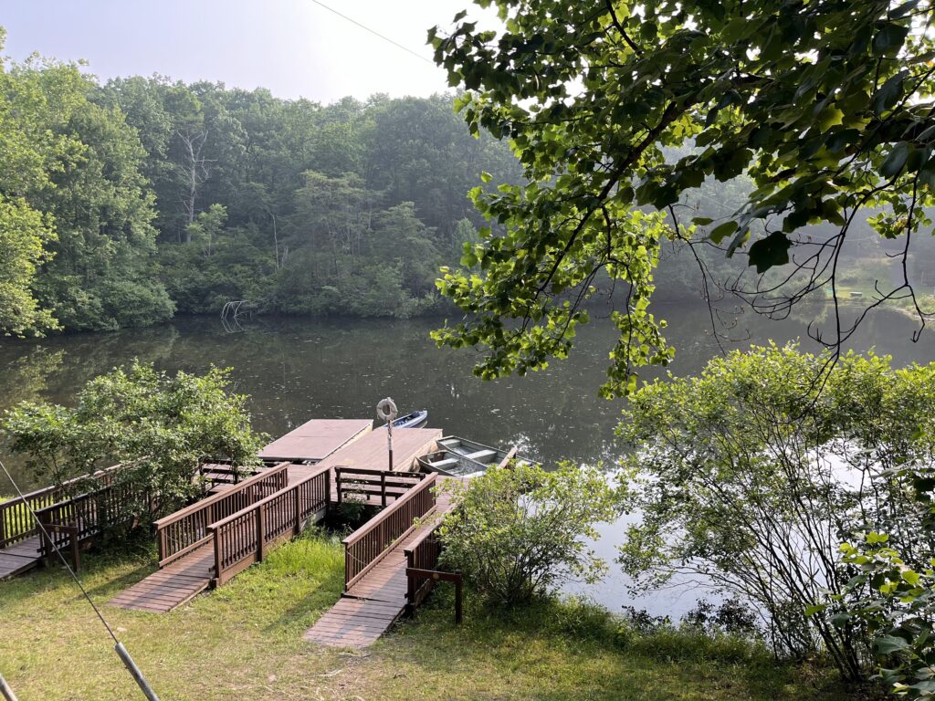 Image of the dock in the pond.